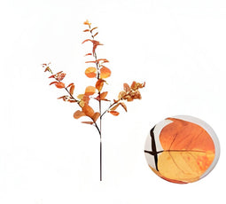 Buitengewoon de boet - Money leaf tak oranje 104 cm