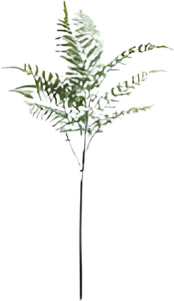 Buitengewoon de boet - Varenblad lichtgroen 91 cm