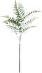 Buitengewoon de boet - Varenblad lichtgroen 91 cm