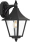 Buitenlamp Livorno hang zwart