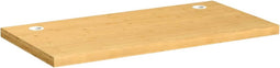 Bureaublad 100x50x4 cm bamboe