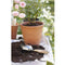 Burgon & Ball - Sophie Conran Series - Compostschep - RVS - Incl. geschenkverpakking