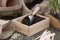 Burgon & Ball - Sophie Conran Series - Compostschep - RVS - Incl. geschenkverpakking