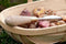 Burgon & Ball - Sophie Conran Series - Pootstok - RVS - Incl. geschenkverpakking