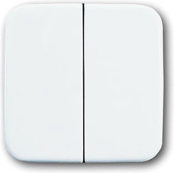 Busch Bedieningswip - 2 Knoppen