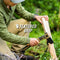Bushcraft Hatchet - Coyote