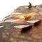 Buteo Photo Gear Camouflagenet 1 Coloured Leaf