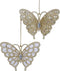 Butterfly Acrylic 3125 Inch