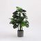 Mica Decorations Monstera Kunstplant - H130 x Ø80 cm - Set van 2