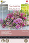 Buzzy bloemzaad - Zomerbloemen Pretty Pink | Colorful Bouquets