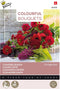 Buzzy bloemzaad - Zomerbloemen Vintage Red | Colorful Bouquets