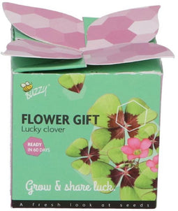 Buzzy - Grow gifts kweekset flower gift klavertje 4