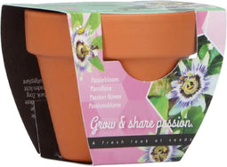 Buzzy - Grow gifts kweekset groeicadeautje passiflora