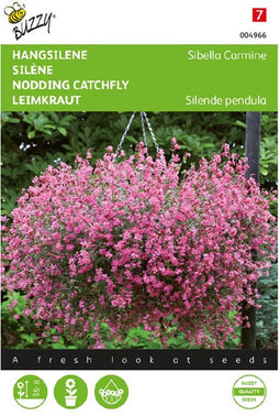Buzzy Hangsilene Sibella Carmine (Silende)