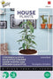 Buzzy® House Plants Eucalypthus, Lemon Bush