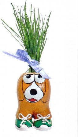 Buzzy Munakuppi - Hond