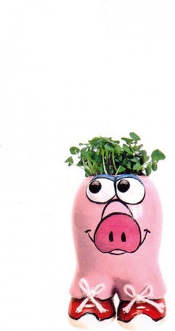 Buzzy Munakuppi - Varken