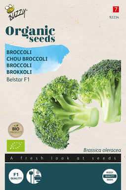 Buzzy Organic Broccoli Belstar F1 (BIO) - biologisch groentezaad