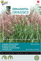 Buzzy Ornamental Grasses Chinees prachtriet 'New Hybrids'