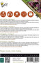 Buzzy® Patio Vegetables, Aubergine Patio Baby F1