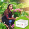 Buzzy® Patio Vegetables, Bloemkool Amazing