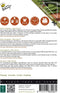 Buzzy® Patio Vegetables, Courgette Patio Star F1