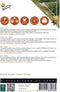 Buzzy® Patio Vegetables, Dille nano