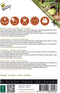 Buzzy® Patio Vegetables, Romeinse Mini-sla (gemengd)
