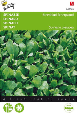 Buzzy - Spinazie Breedblad Scherpzaad zomer zaden