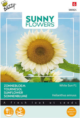 Buzzy Sunny Flowers, Zonnebloem White Sun F1