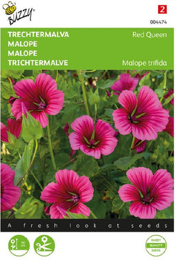 Buzzy, Trechtermalva Red Queen (Malope)