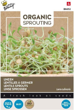 Buzzy zaden - Kiemgroente Linzen BIO 30 gram