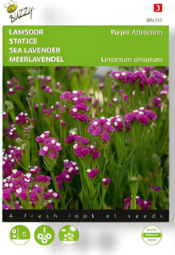 Buzzy - Zaden limonium lamsoor purple attraction 0.2 gram