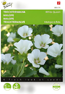 Buzzy - Zaden malope trechtermalva white queen 1.5 gram