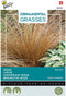 Buzzy zaden - Zegge 'Bronco' | Ornamental Grasses