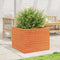 vidaXL - Plantenbak - 60x60x46 - cm - massief - grenenhout - wasbruin