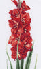 Thea Gouverneur - Borduurpakket met telpatroon - 3073A - Voorgesorteerde DMC Garens - Rode Gladiolen - Aida - 20 cm x 88 cm - DIY Kit