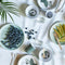 Done By Deer Tiny Tropics Dinerset