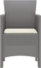 vidaXL - Tuinmeubelen - met - Kussens - 2 - stuks - Lichtgrijs - Poly - Rattan