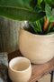 Ter Steege Plantenpot - moderne look - beige - 18 x 16 cm - bloempot