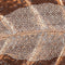 Middenstuk Alexandra House Living Gouden Ijzer 41 x 5 x 77 cm Laken