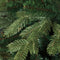 Black Box Trees Herwood Deluxe Kunstkerstboom - H185 x Ø127 cm - Groen