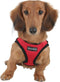 Puppia Soft Vest Harness - Hondentuig - Verstelbare buikriem - Rood - M