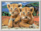 Ravensburger CreArt Little Lion Cube - Schilderen op nummer voor kinderen