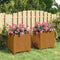 vidaXL - Plantenbakken - met - poten - 2 - st - roestig - 32x30x33 - cm - cortenstaal