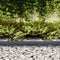vidaXL - Grasafscheidingen - 20 - stuks - Anthraciet - 100x0,5x15 - cm - Kunststof