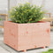 vidaXL - Plantenbak - 70x70x49,5 - cm - massief - douglashout