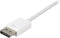 Sharkoon DisplayPort naar DVI Adapter