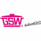 GSW Pan - Roestvrij staal - Slijtvast Inductie Grijs (2 stuks)
