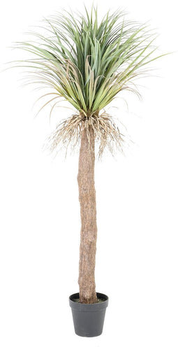 By-Boo Kunstplant Yucca boom - Medium